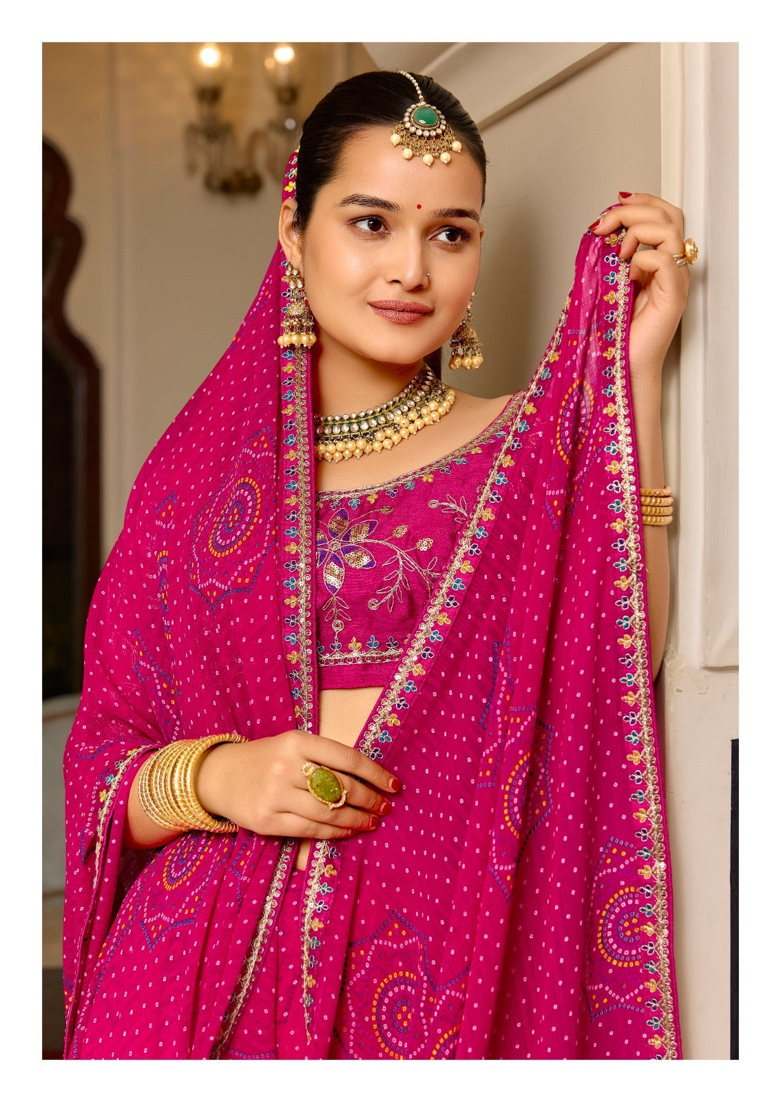 Georgette Embroidered Saree with Meena Border & Designer Blouse