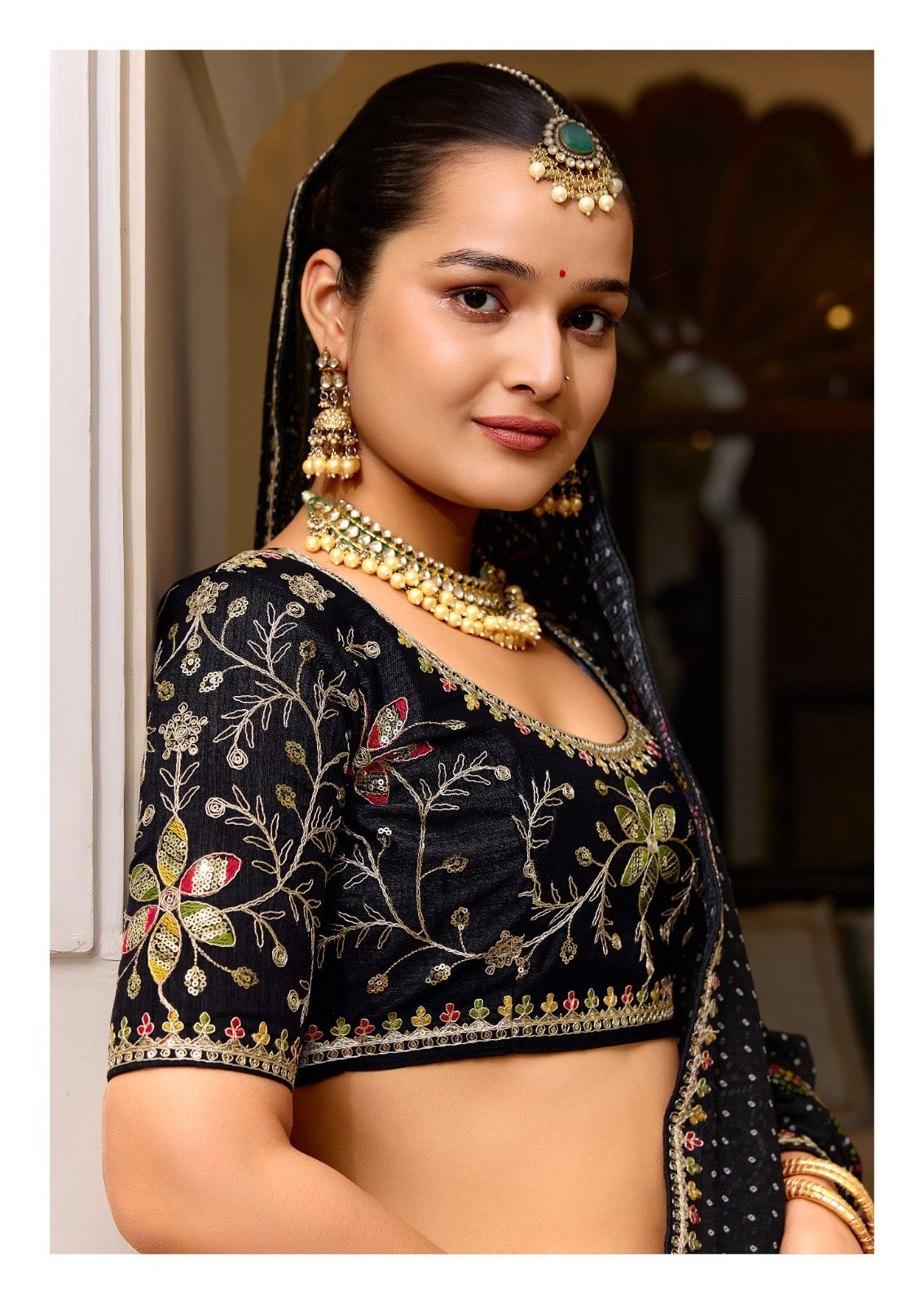 Georgette Embroidered Saree with Meena Border & Designer Blouse