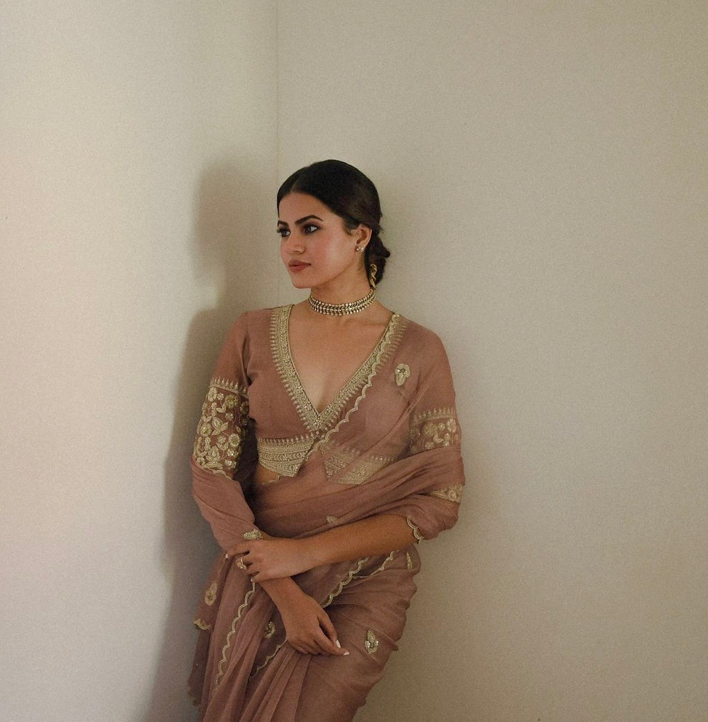 Elegant Pure Organza Embroidered Saree with Valmoti Handwork Border
