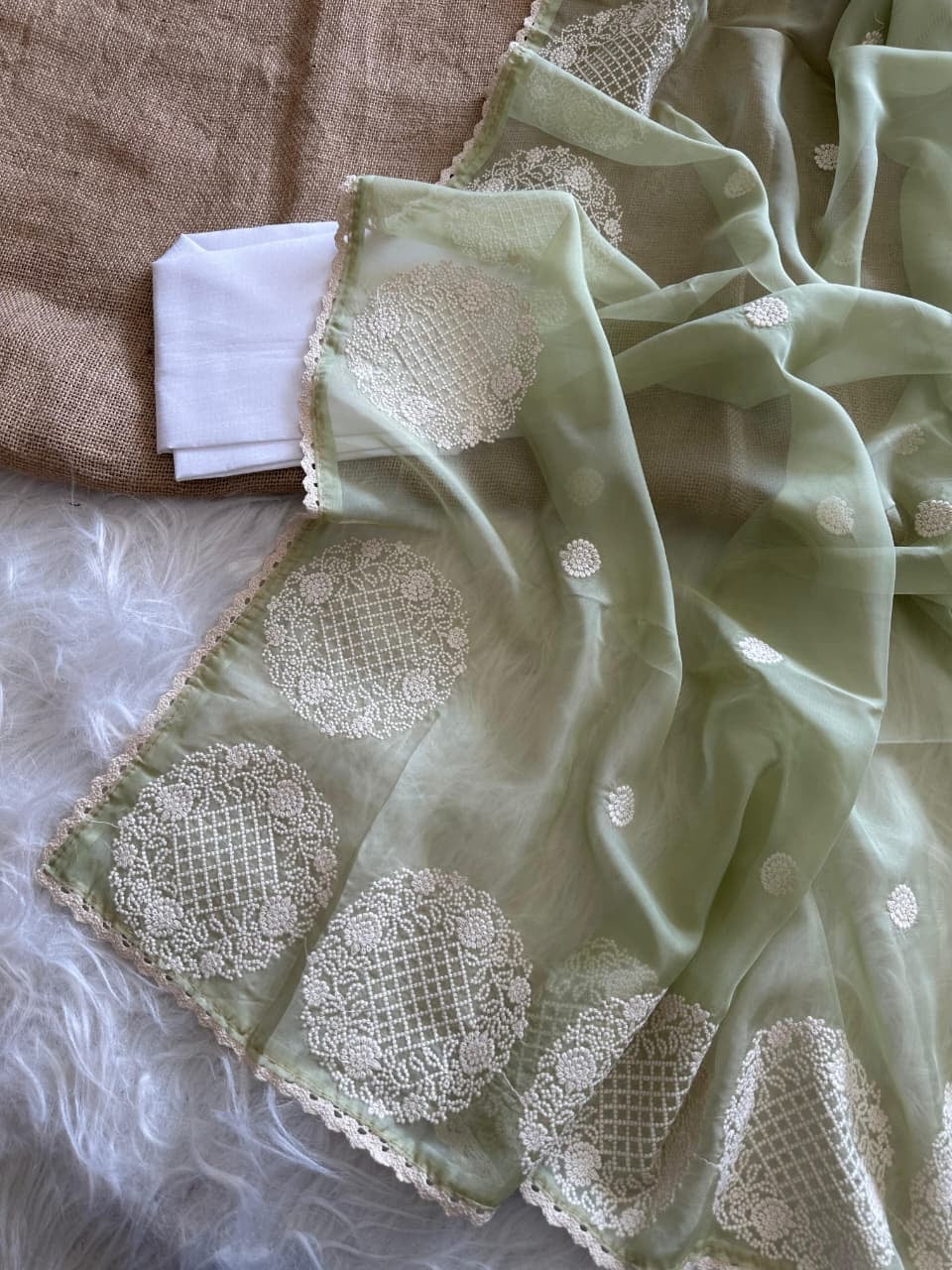 🌸Noor-e-Gulaab Organza Saree 🌸