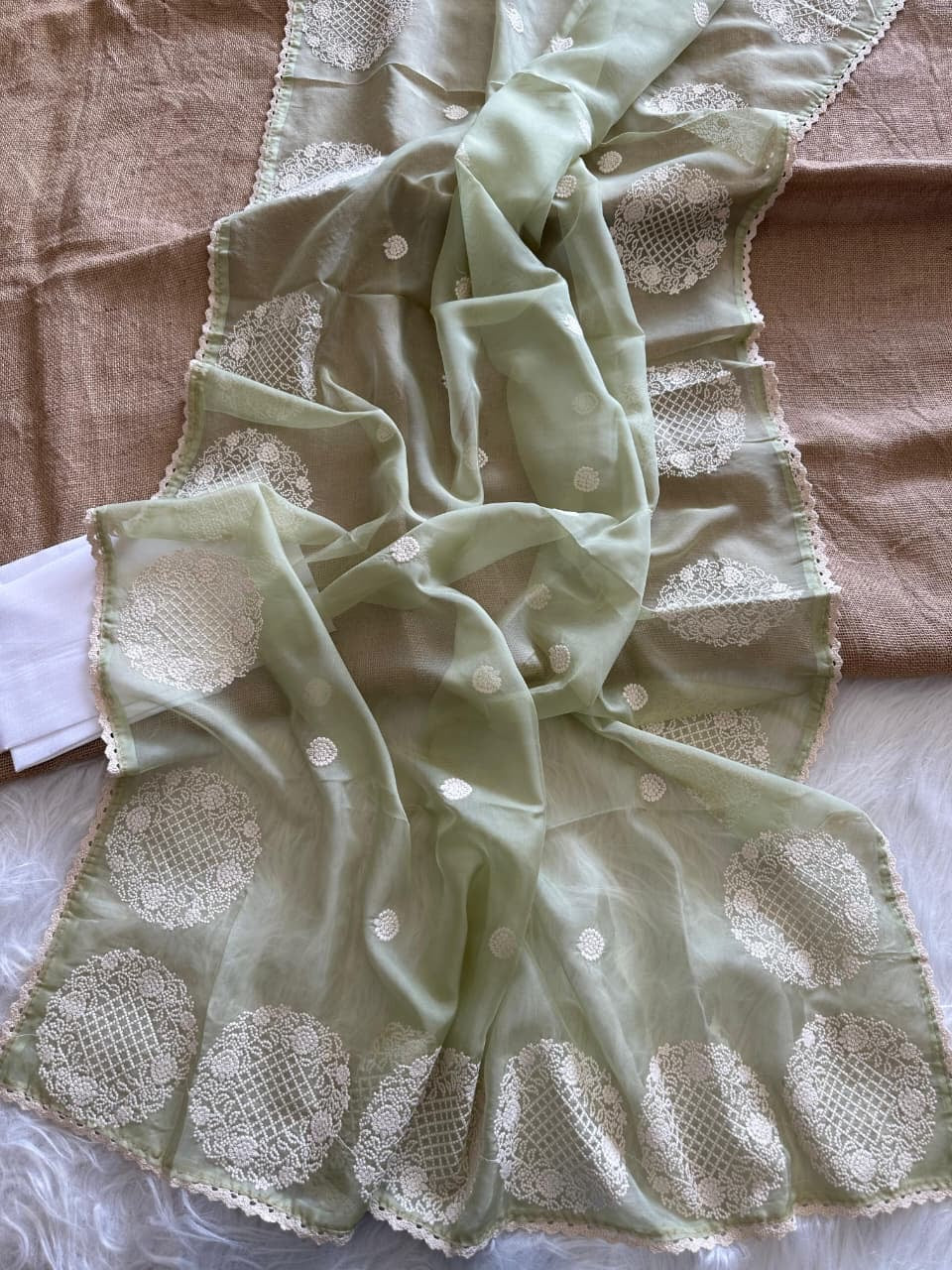 Noor-e-Gulaab Organza Saree